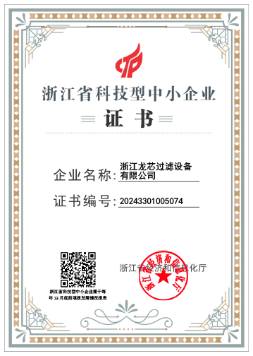 Zhejiang-Longxin-Provincial-Science-and-Technology-Primary-School-Certificate