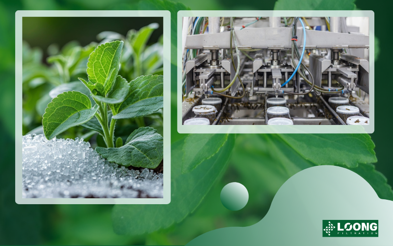 Depth Filtration Solution LOONG Filtration & The Global Leader in Stevia