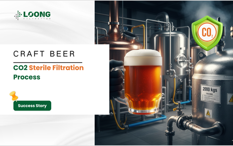 CO2 Sterile Filtration Process.png