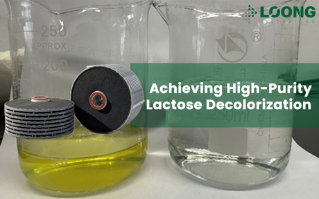 LOONG Filtration Activated Carbon Depth Lenticular Filter Decolorization(7).jpg