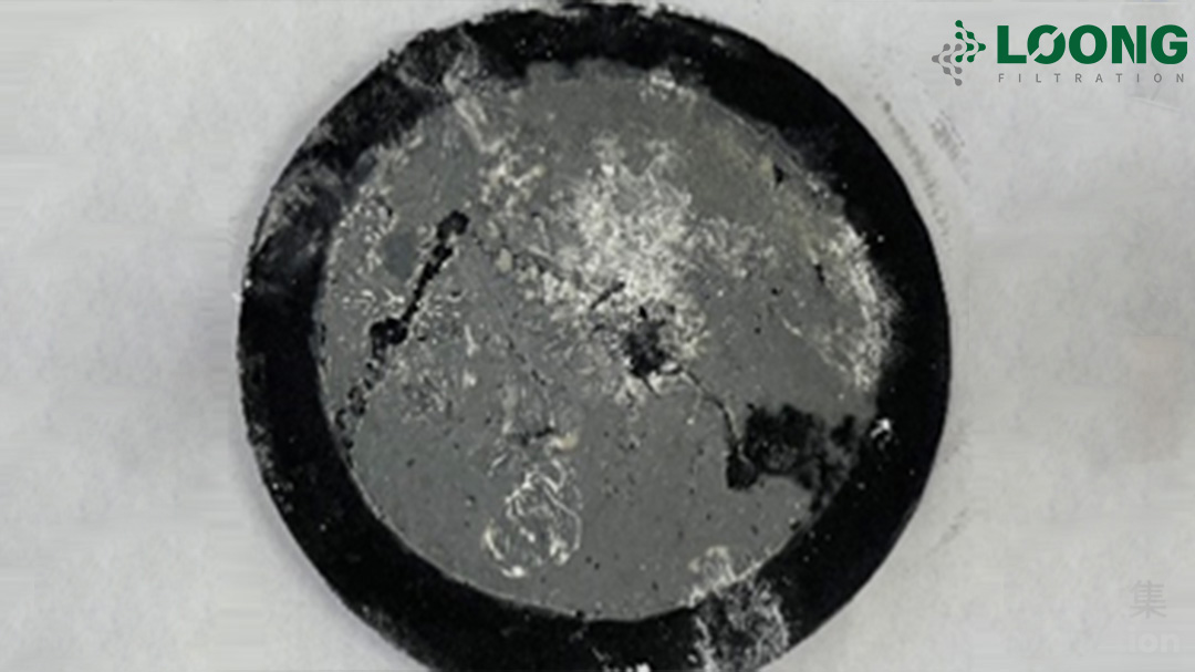 LOONG Filtration Activated Carbon Depth Lenticular Filter Decolorization(4)