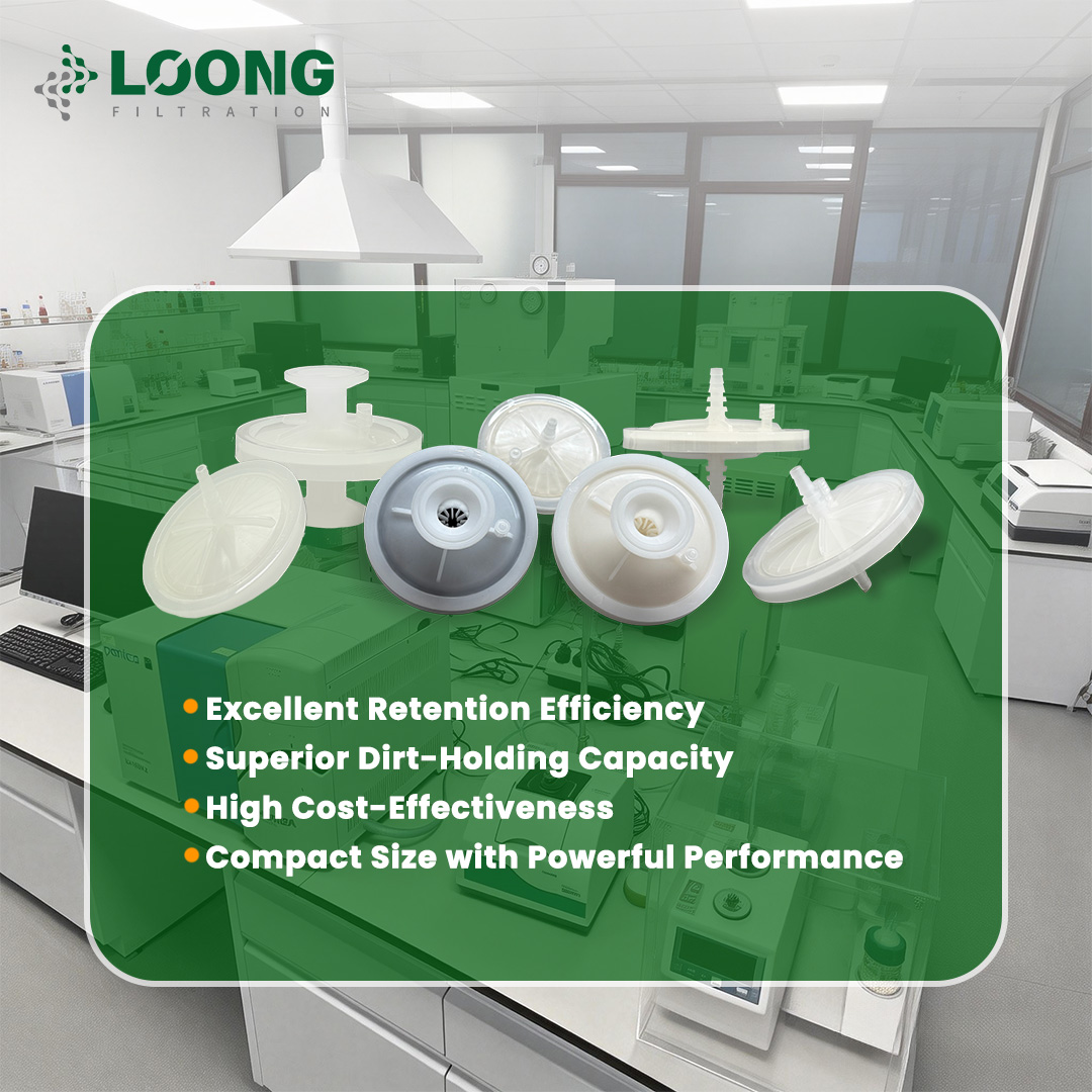 Why Choose This High-Performance Lab Filter