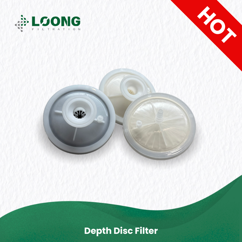 Depth Disc Filter