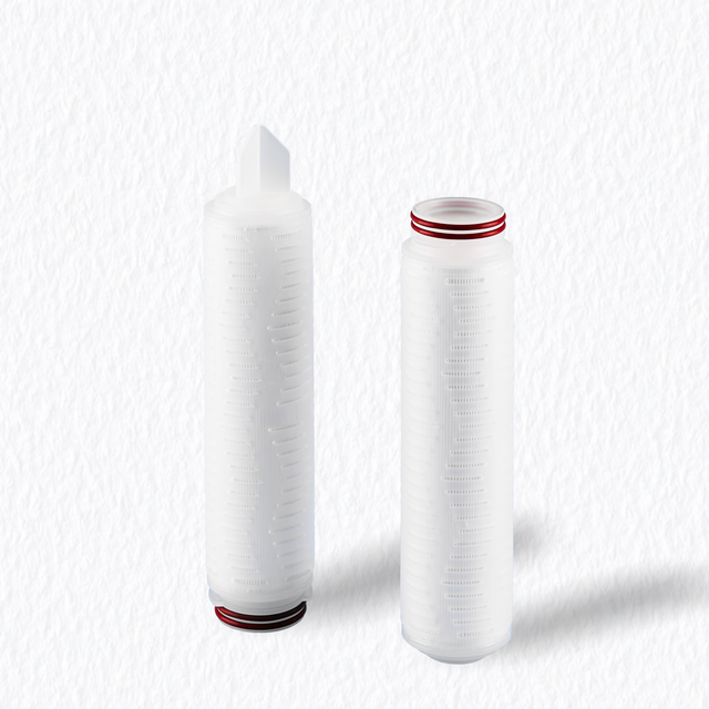 Sterilizing-Grade Hydrophilic PTFE Filter Cartridge 