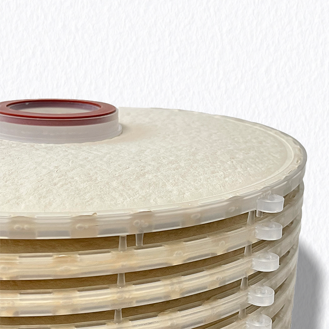 Composite Depth Lenticular Filters LOONG Filtration