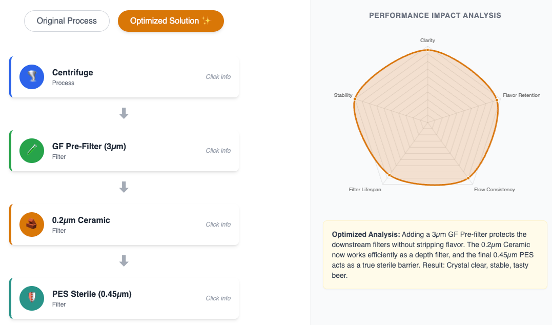 Optimized craft beer filtration supplier