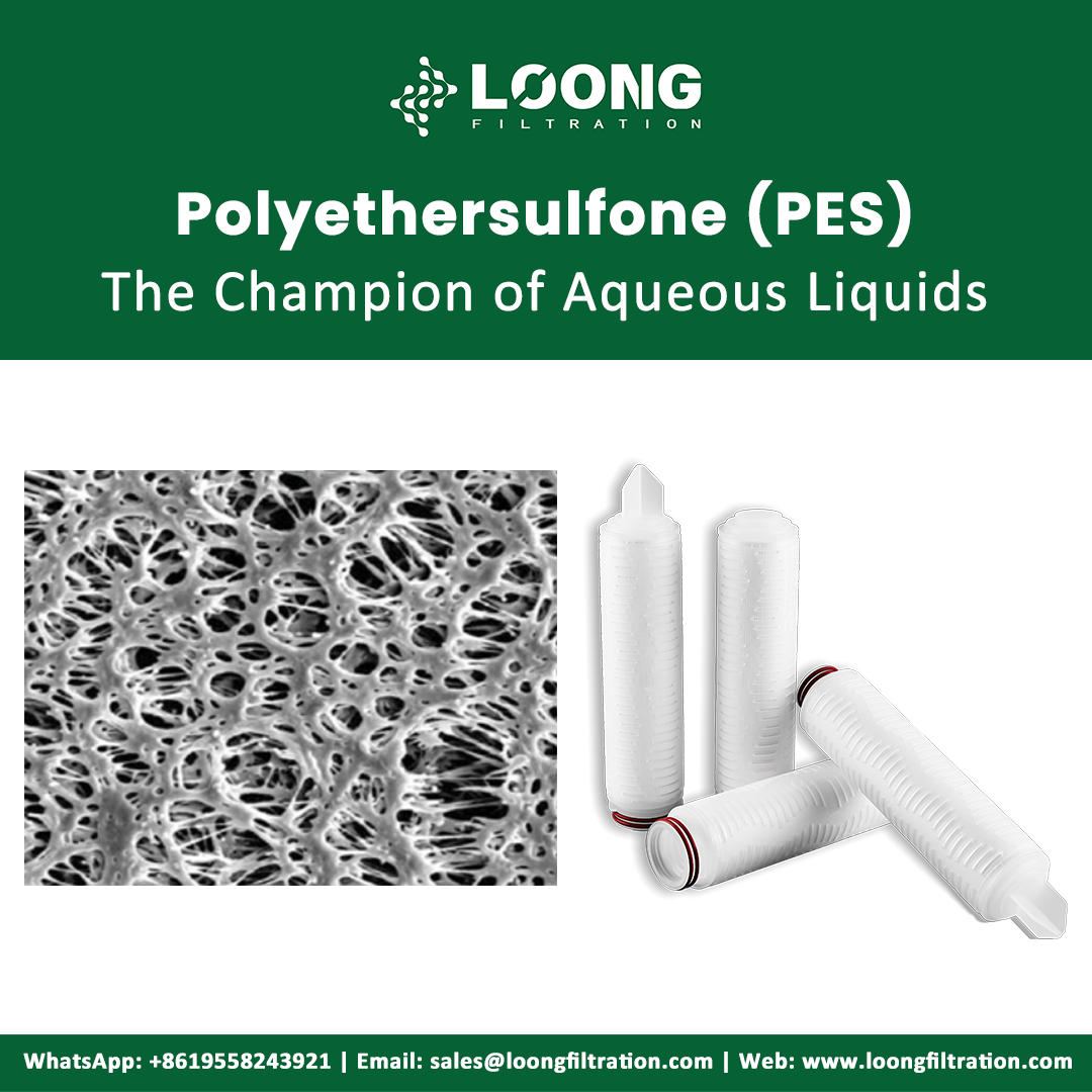 Polyethersulfone (PES) Filter Supplier
