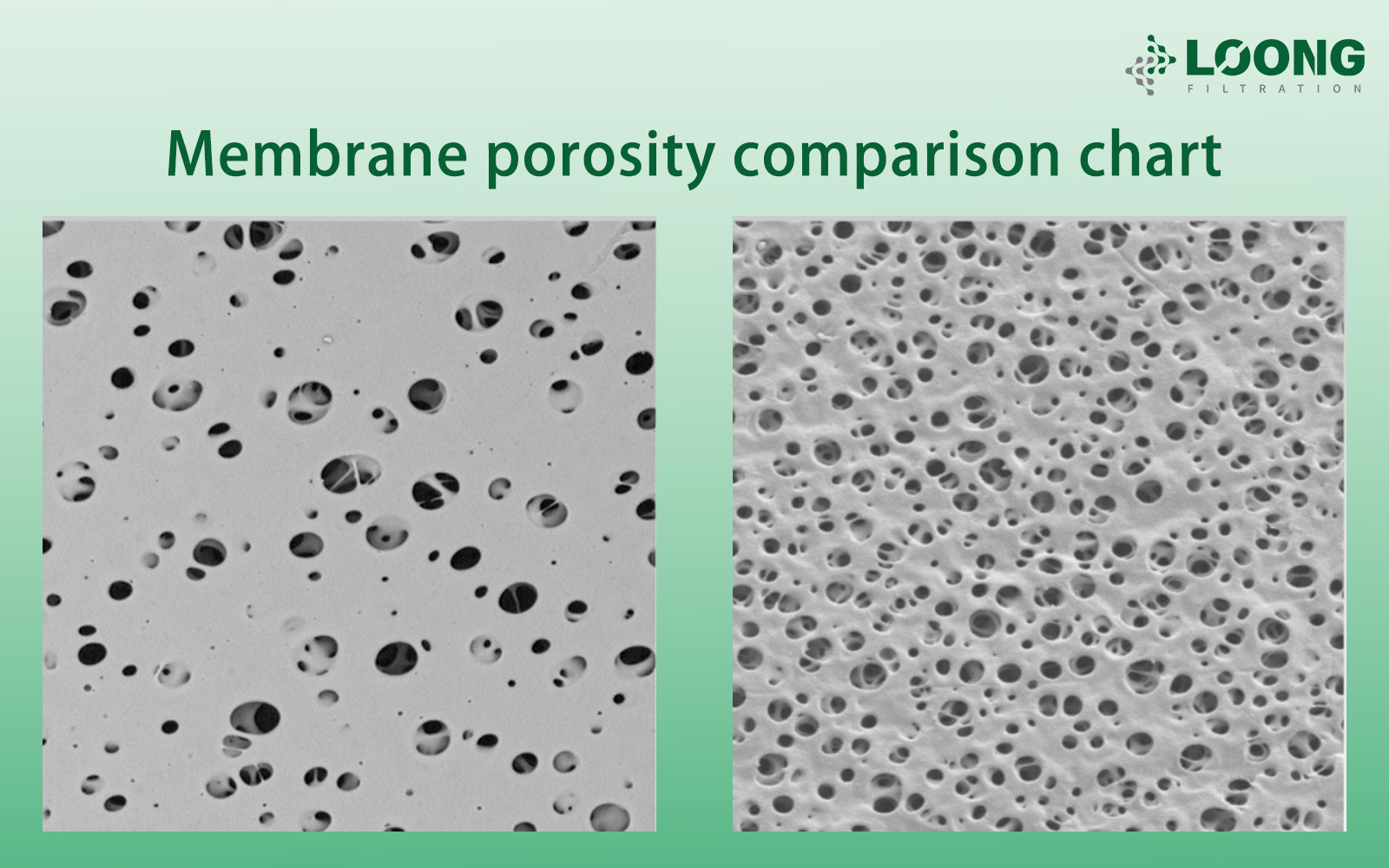 Microporous Filter Membranes (1)