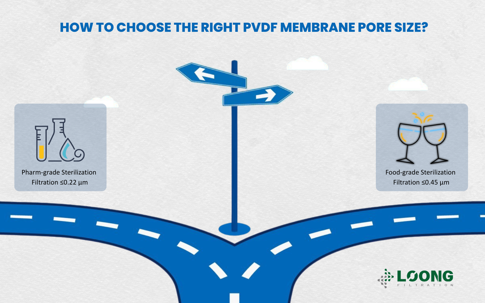 How to Choose the Right PVDF Membrane Pore Size?
