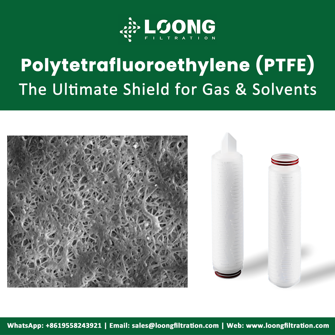 Polytetrafluoroethylene (PTFE) Filter Manufacturer