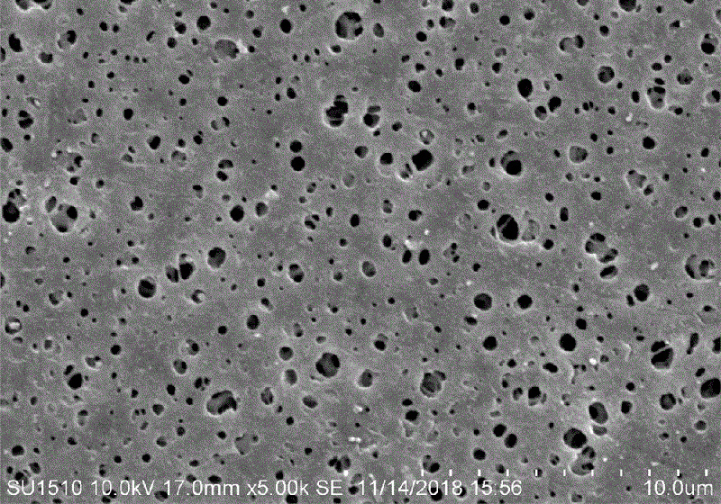 High-performance Polyethersulfone (PES)MicroporousMembranes