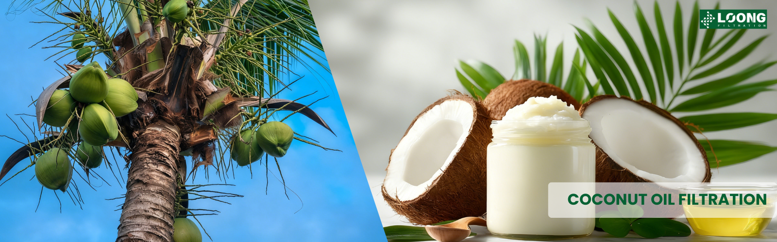 COCONUT OIL FILTRATION SOLUTION FROM LOONG FILTRATION