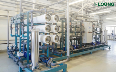 304 vs 316L Stainless Steel Filter Housing Guide.jpg