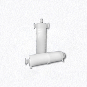 High Capacity PES Capsule Filter Supplier