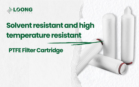 PTFE Filter Cartridge (4).jpg