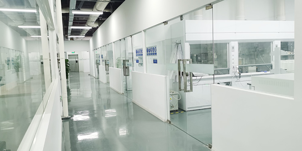 LOONG FILTRATION capsule filter water treatment 100000 level clean workshop eco friendly filtration