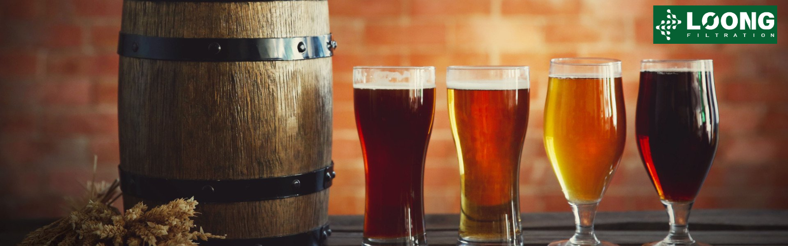 craft beer filtration supplier-loongfiltration