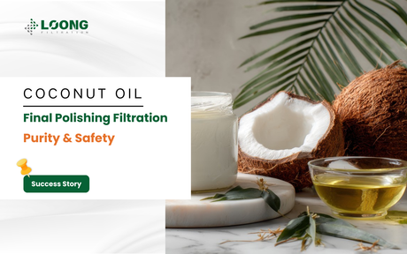 How to Solve the Final Polishing Filtration Challenge to Ensure Product Purity and Safety (1).png