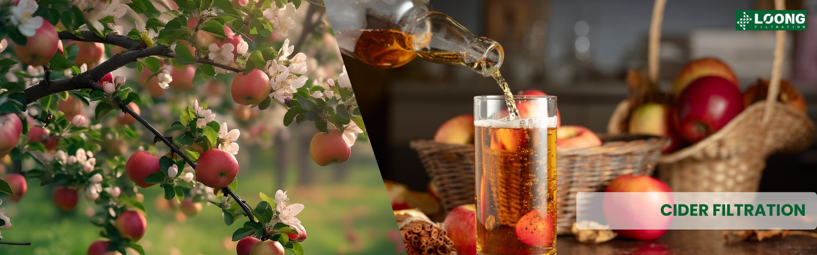 CIDER FILTRATION MANUFACTURER