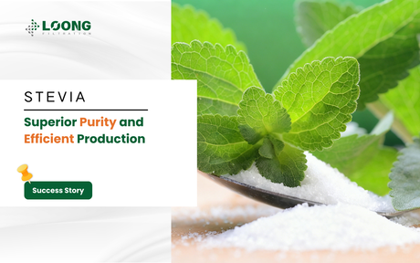 Stevia Filtration Supplier.png