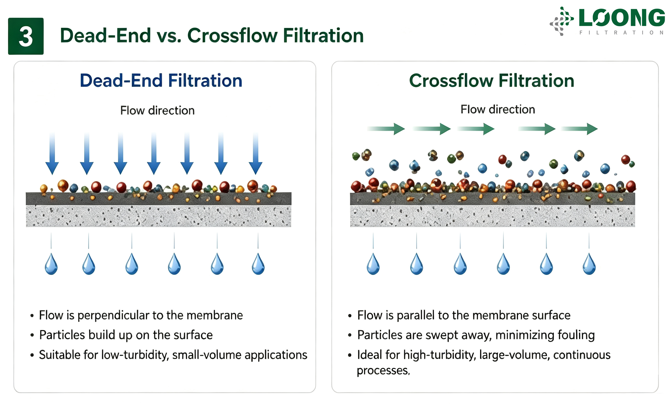 What Are Membrane Filters？ LOONGFiltration 3.png