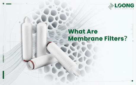 What Are Membrane Filters？ LOONGFiltration.png