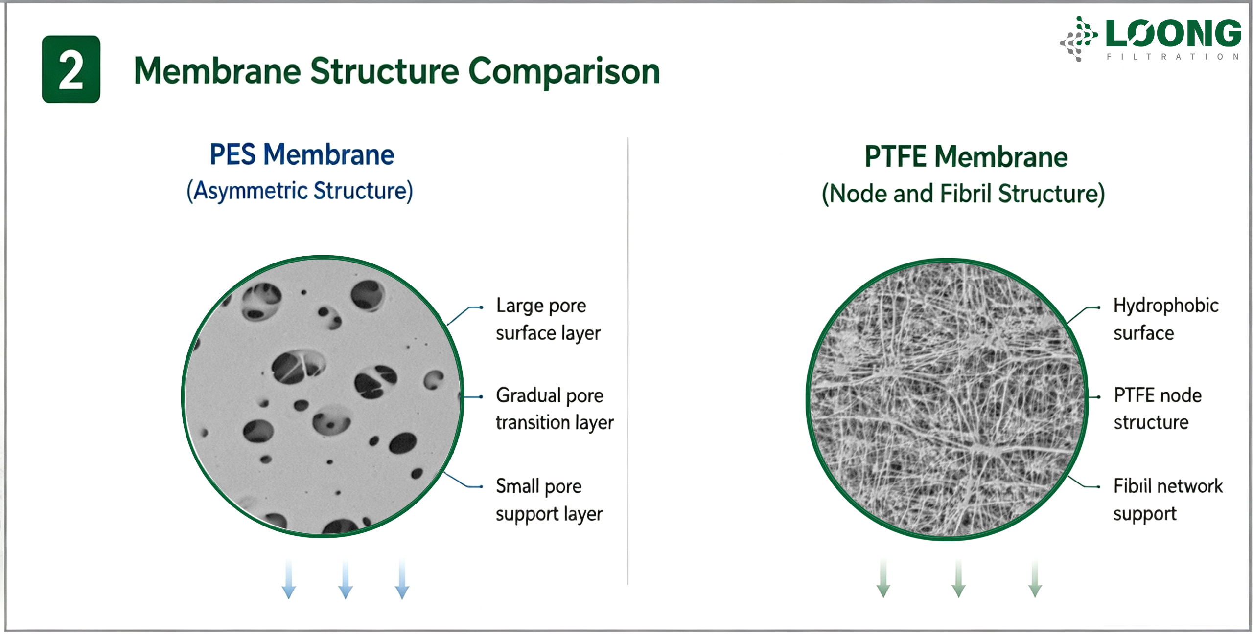 PES 대 PTFE 멤브레인 필터 선택 방법 LOONGFiltration 2 .png