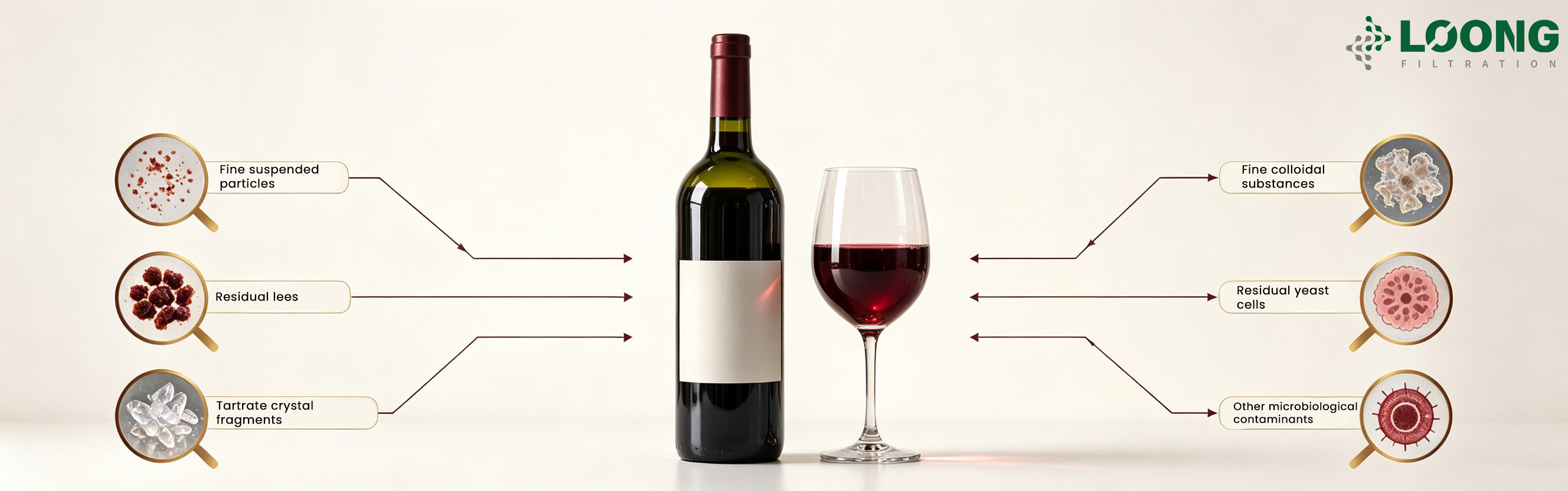 Wine Filtration LOONGFiltration1.jpg