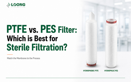 PTFE vs. PES Filter Which is Best for Sterile Filtration (1).jpg