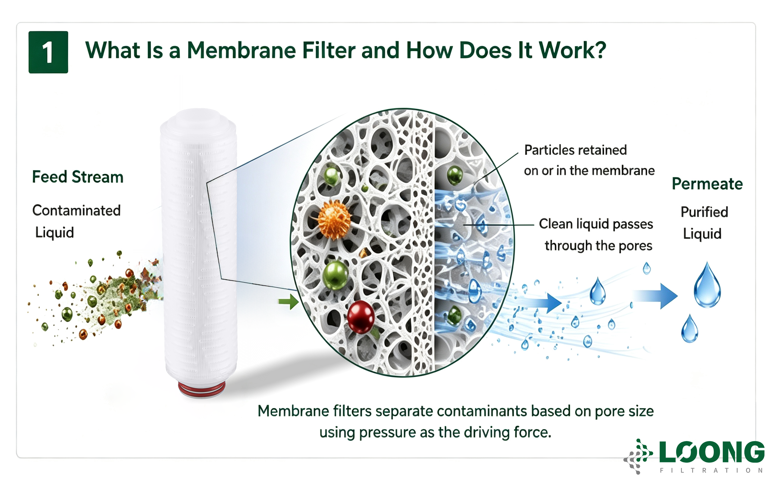 What Are Membrane Filters？ LOONGFiltration 1 .png